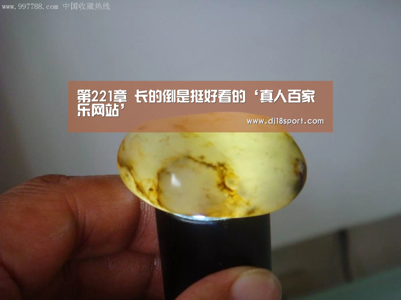 第221章 长的倒是挺好看的‘真人百家乐网站’(图1) 真人百家乐网站