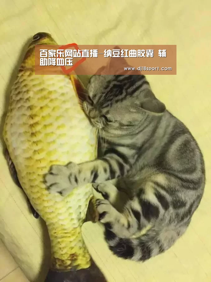 百家乐网站直播-纳豆红曲胶囊 辅助降血压(图1) 百家乐网站直播