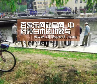 百家乐网站官网_中药炒白术的功效与药用作用(图3) 百家乐网站