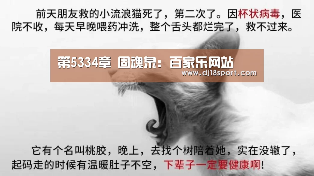 百家乐网站官网