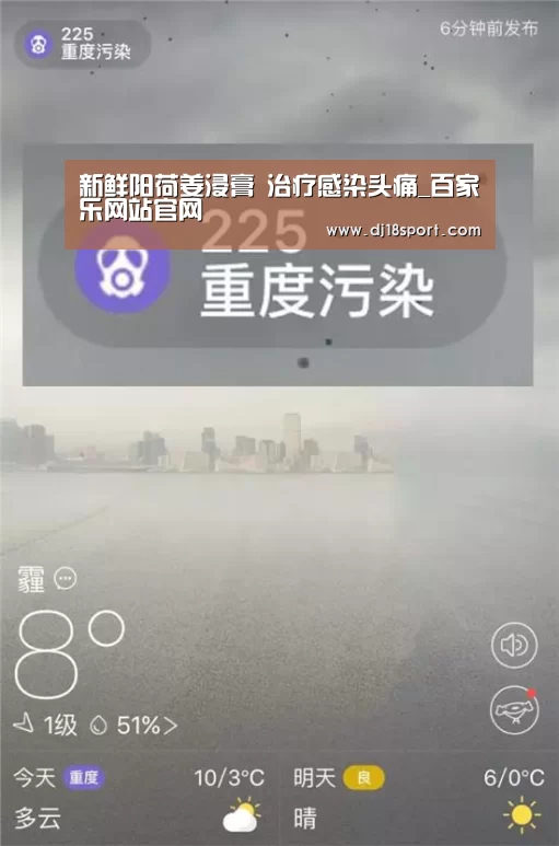 新鲜阳荷姜浸膏 治疗感染头痛_百家乐网站官网(图2) 真人百家乐网站